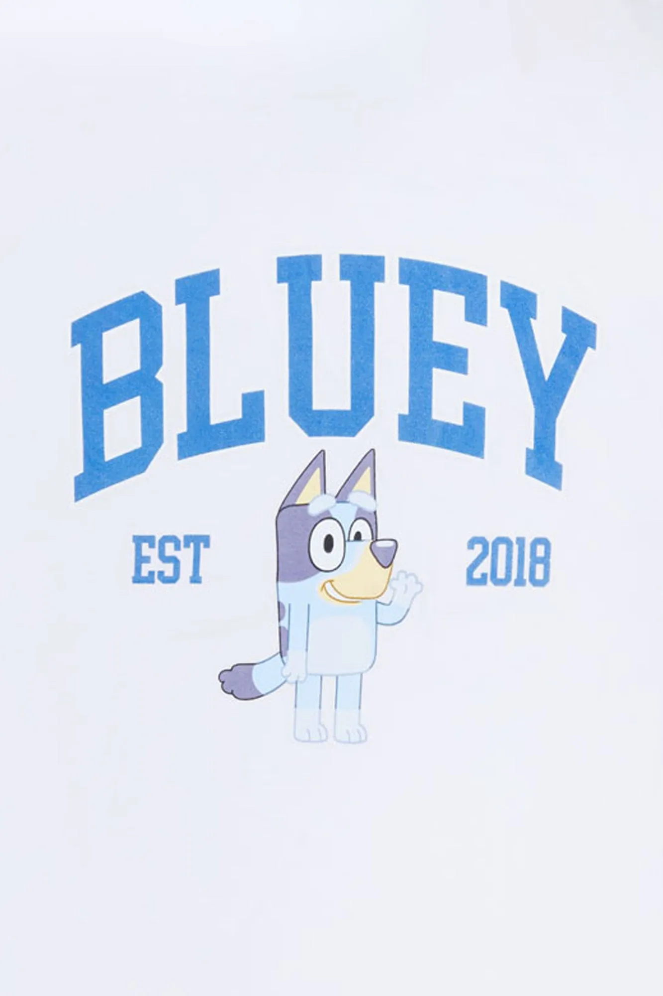 Bluey Graphic Boyfriend Tee